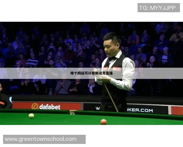 南京羽毛球队在世界杯预选赛中的战术分析与表现评估